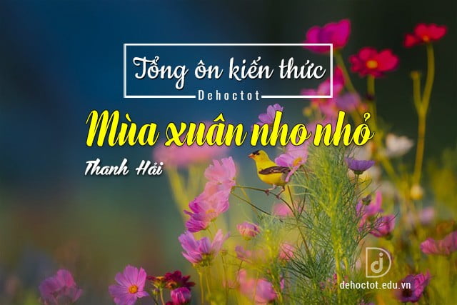 Tổng ôn kiến thức về bài thơ Mùa xuân nho nhỏ của nhà thơ Thanh Hải